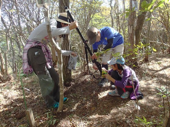 木の高さを測る