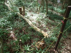 Image Result For E Bc E Be E Ba Ef Bc A E Bc E Af E Ba E Ae A E Ae E B E Af E Ab A