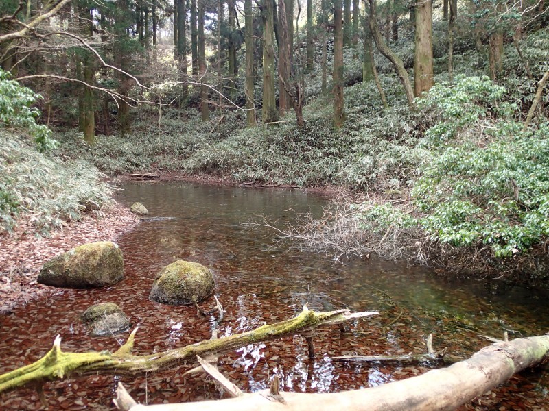 ４６－③二つ池には薄氷P1110032